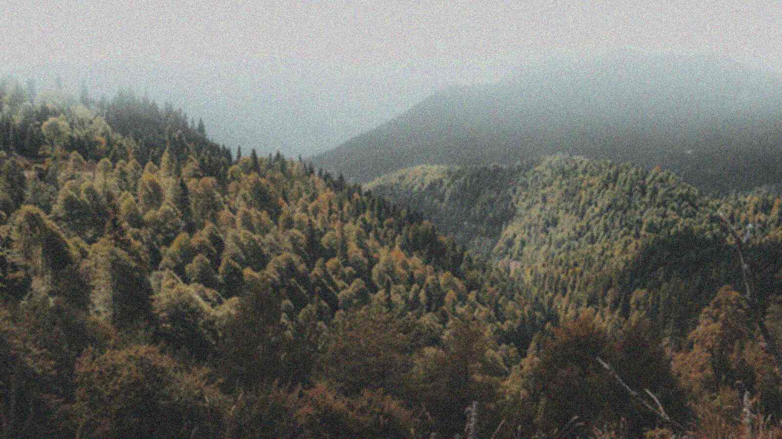 Mesma paisagem em baixa qualidade: baixa resolução, desbotada, com ruído e pouca nitidez